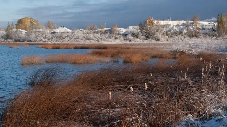 Town of Timmins